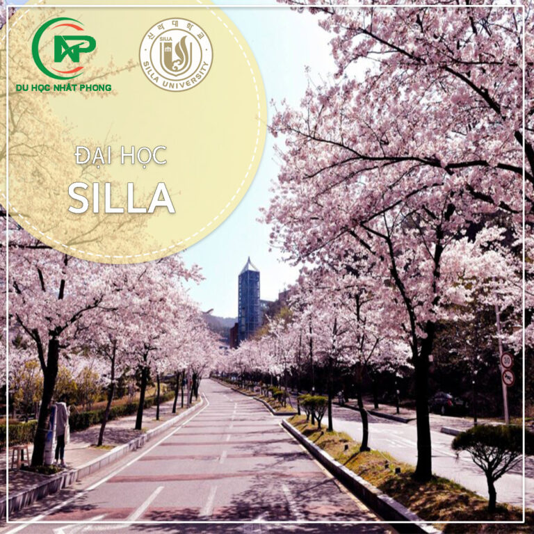 avt trường đại học silla